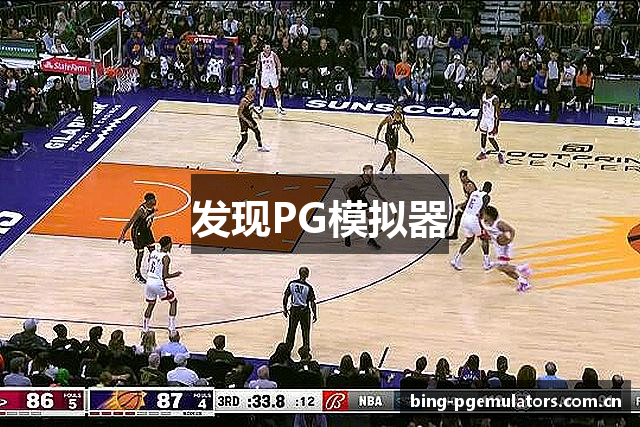 发现PG模拟器